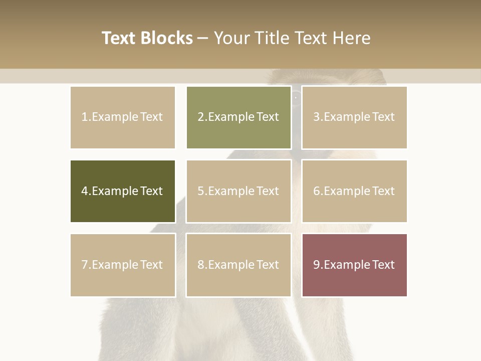 A Monkey Sitting On Top Of A White Surface PowerPoint Template