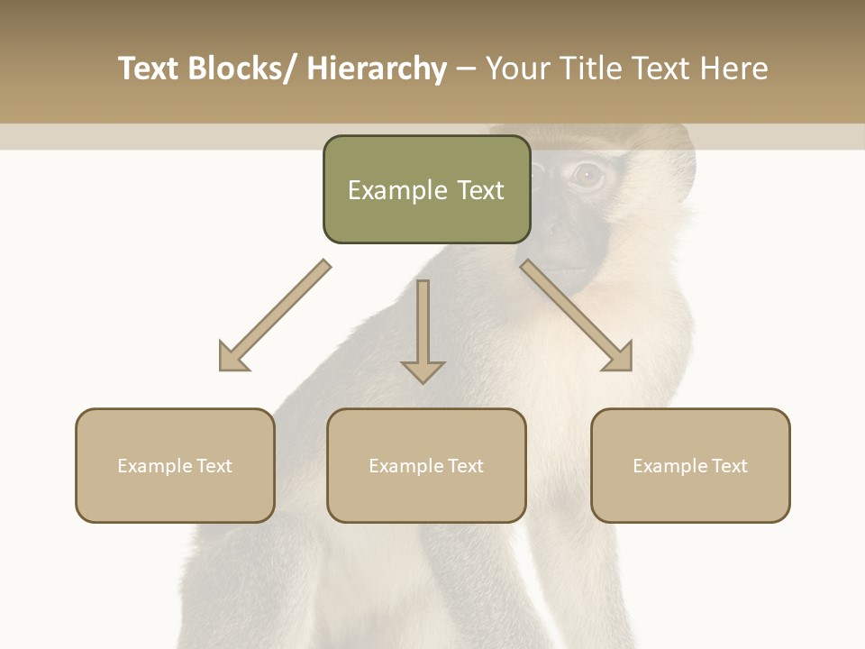A Monkey Sitting On Top Of A White Surface PowerPoint Template