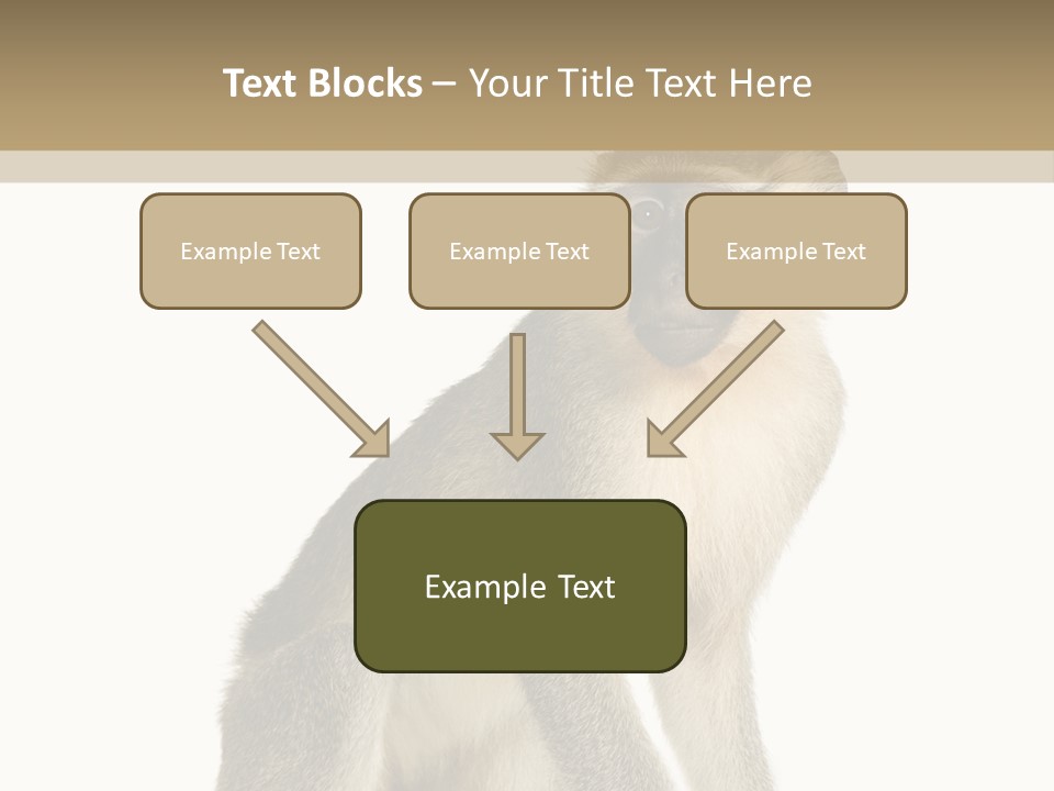 A Monkey Sitting On Top Of A White Surface PowerPoint Template