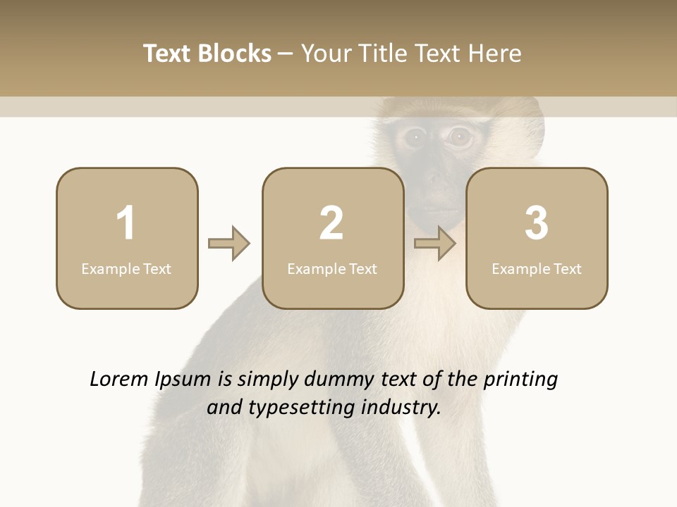 A Monkey Sitting On Top Of A White Surface PowerPoint Template