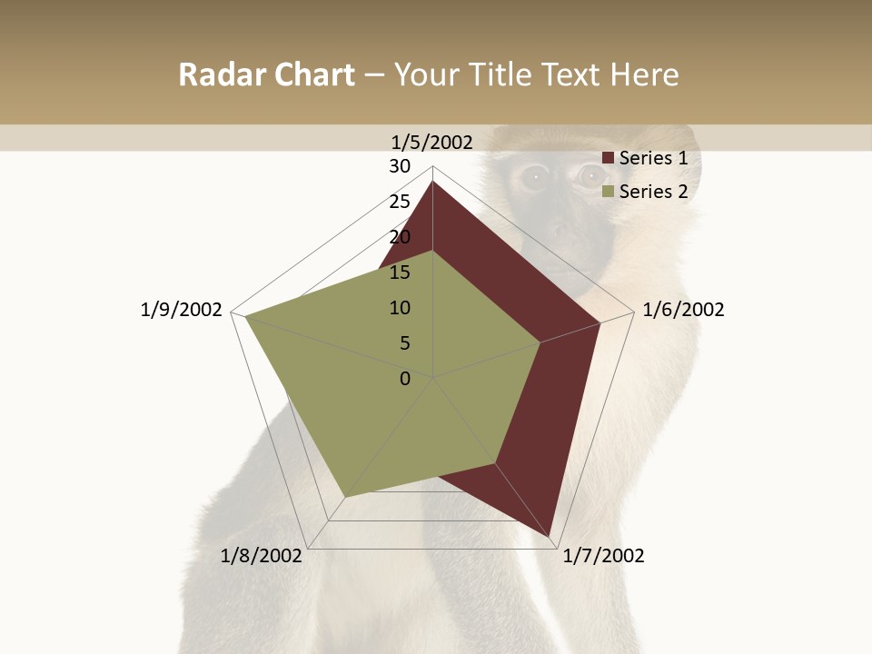 A Monkey Sitting On Top Of A White Surface PowerPoint Template