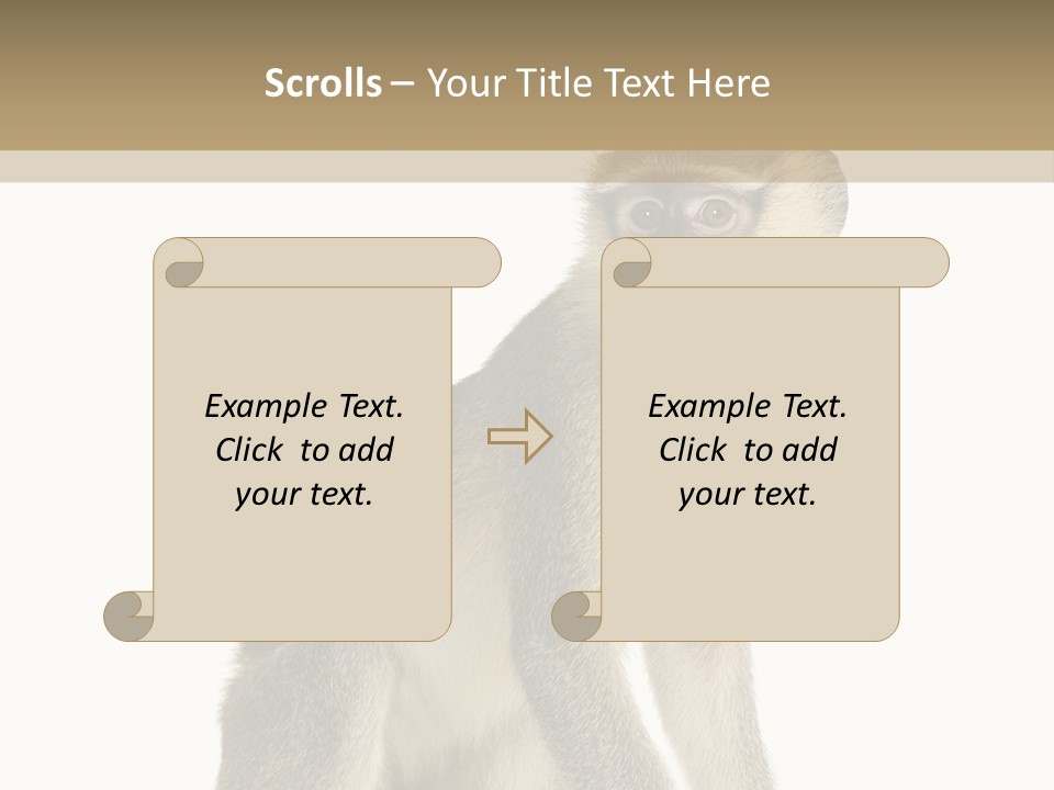 A Monkey Sitting On Top Of A White Surface PowerPoint Template
