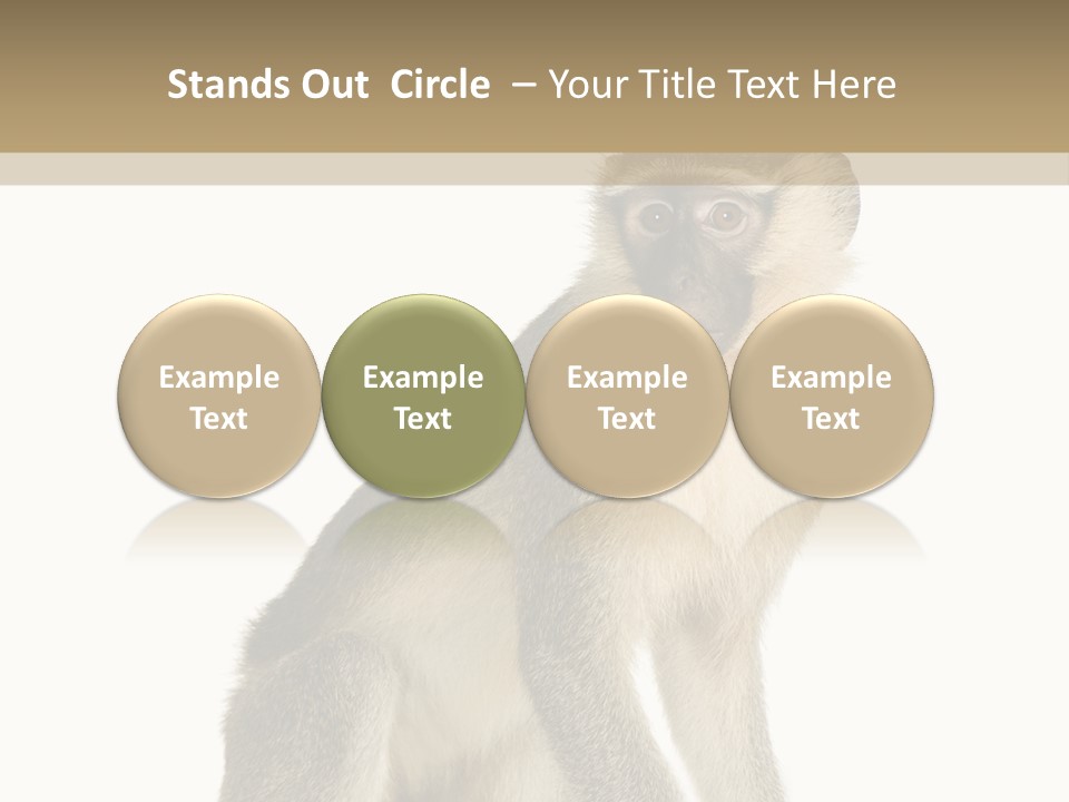 A Monkey Sitting On Top Of A White Surface PowerPoint Template