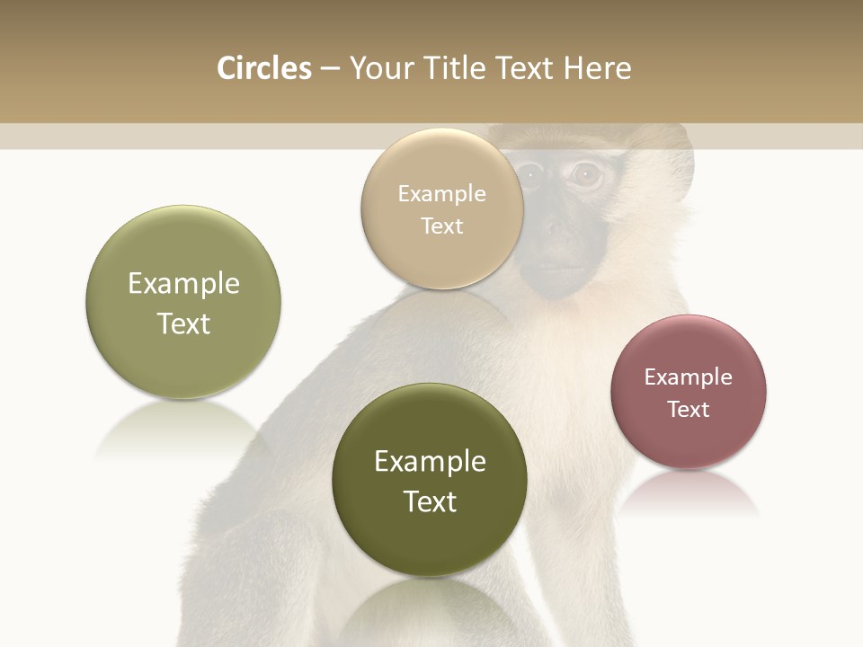 A Monkey Sitting On Top Of A White Surface PowerPoint Template