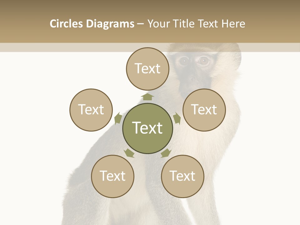 A Monkey Sitting On Top Of A White Surface PowerPoint Template