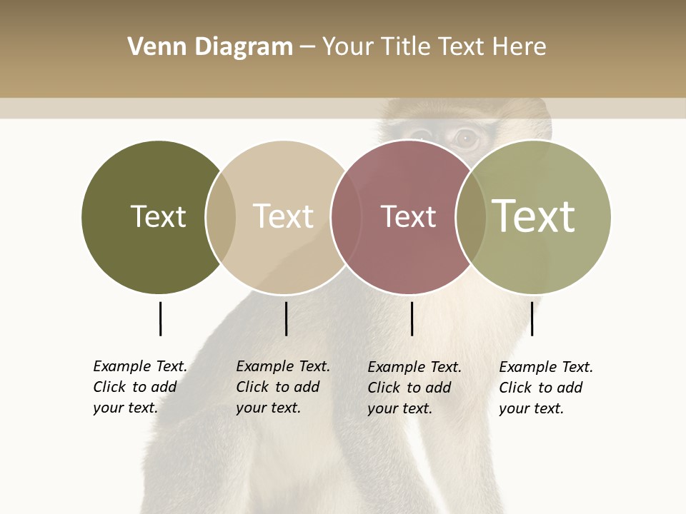A Monkey Sitting On Top Of A White Surface PowerPoint Template