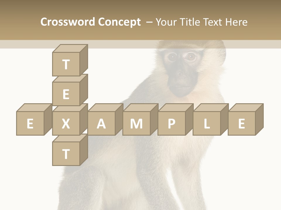 A Monkey Sitting On Top Of A White Surface PowerPoint Template