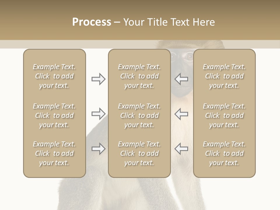 A Monkey Sitting On Top Of A White Surface PowerPoint Template