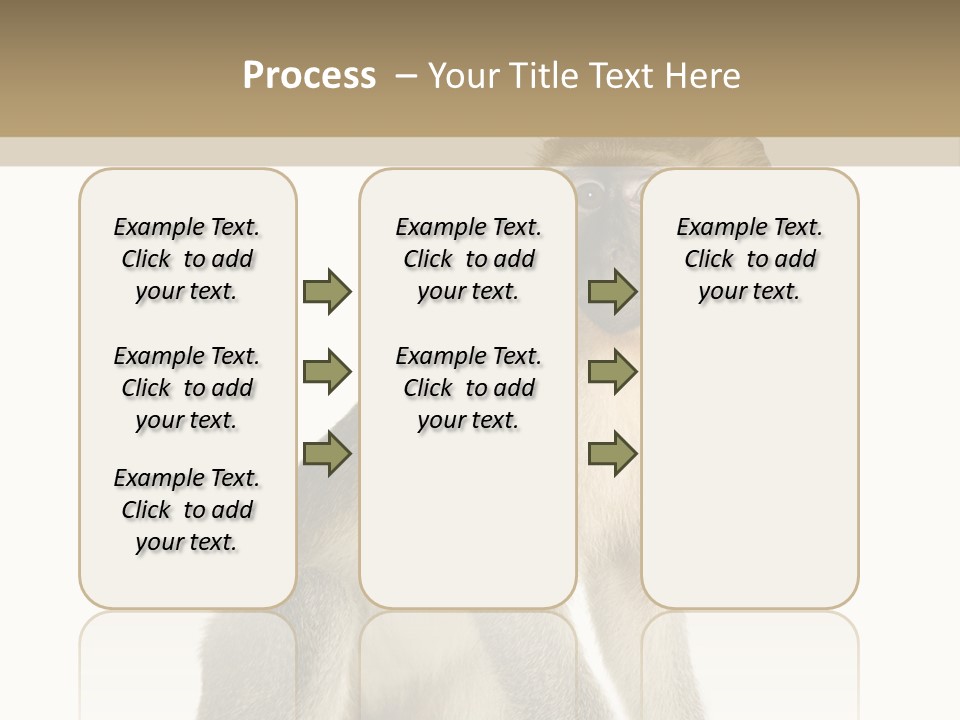 A Monkey Sitting On Top Of A White Surface PowerPoint Template
