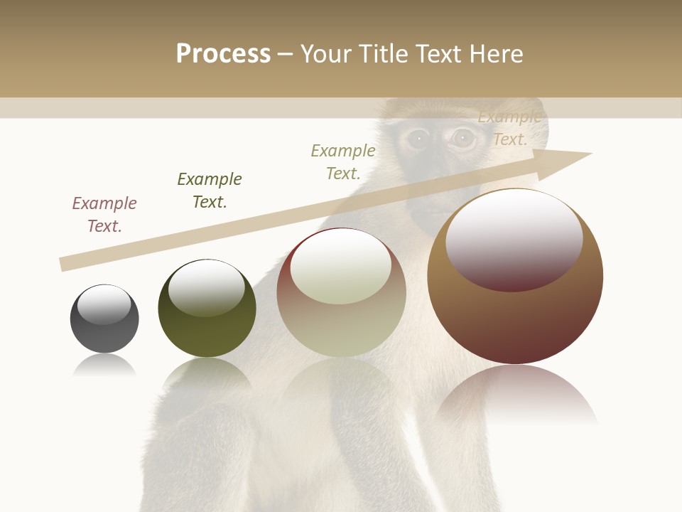 A Monkey Sitting On Top Of A White Surface PowerPoint Template