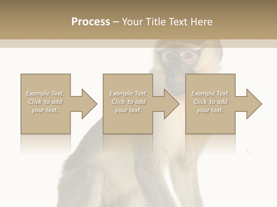 A Monkey Sitting On Top Of A White Surface PowerPoint Template