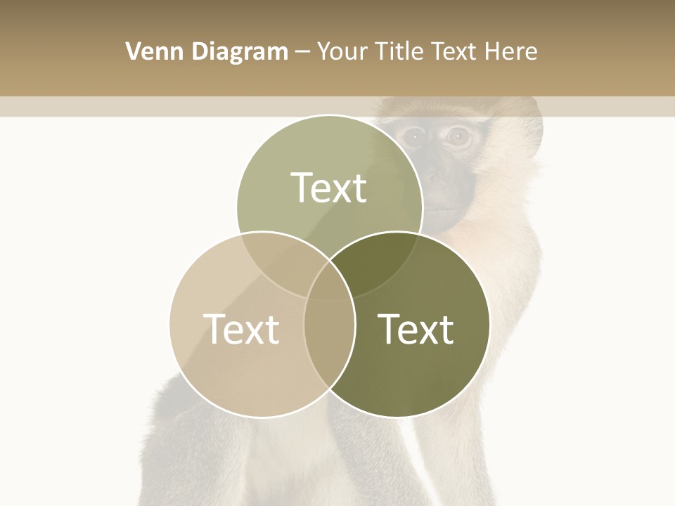 A Monkey Sitting On Top Of A White Surface PowerPoint Template