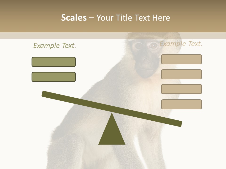 A Monkey Sitting On Top Of A White Surface PowerPoint Template