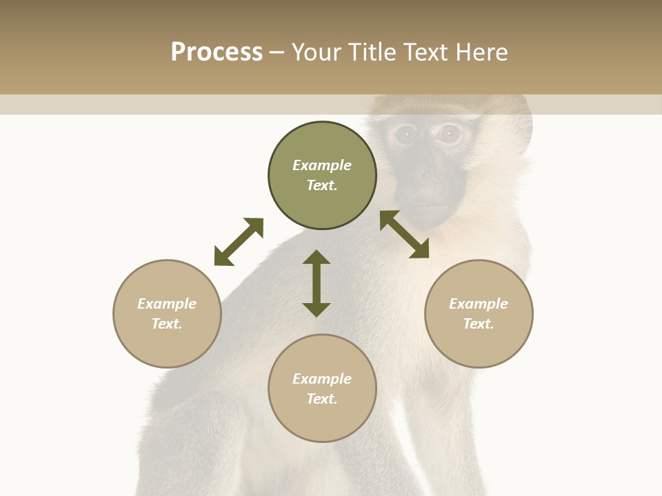 A Monkey Sitting On Top Of A White Surface PowerPoint Template