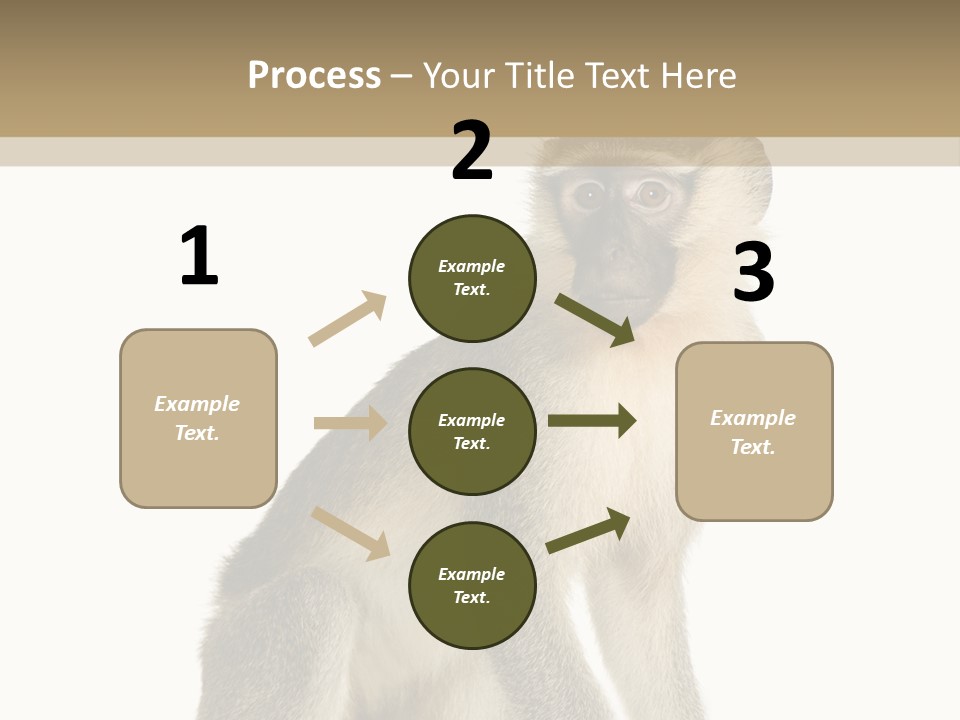 A Monkey Sitting On Top Of A White Surface PowerPoint Template