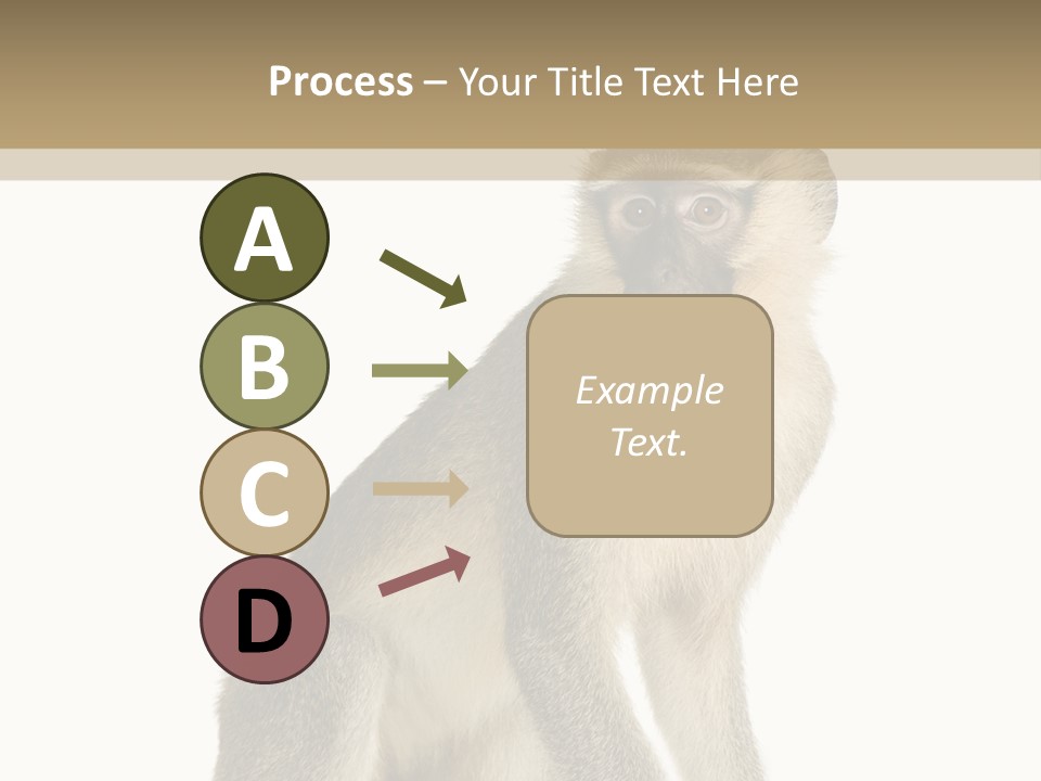 A Monkey Sitting On Top Of A White Surface PowerPoint Template