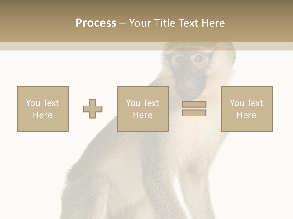 A Monkey Sitting On Top Of A White Surface PowerPoint Template