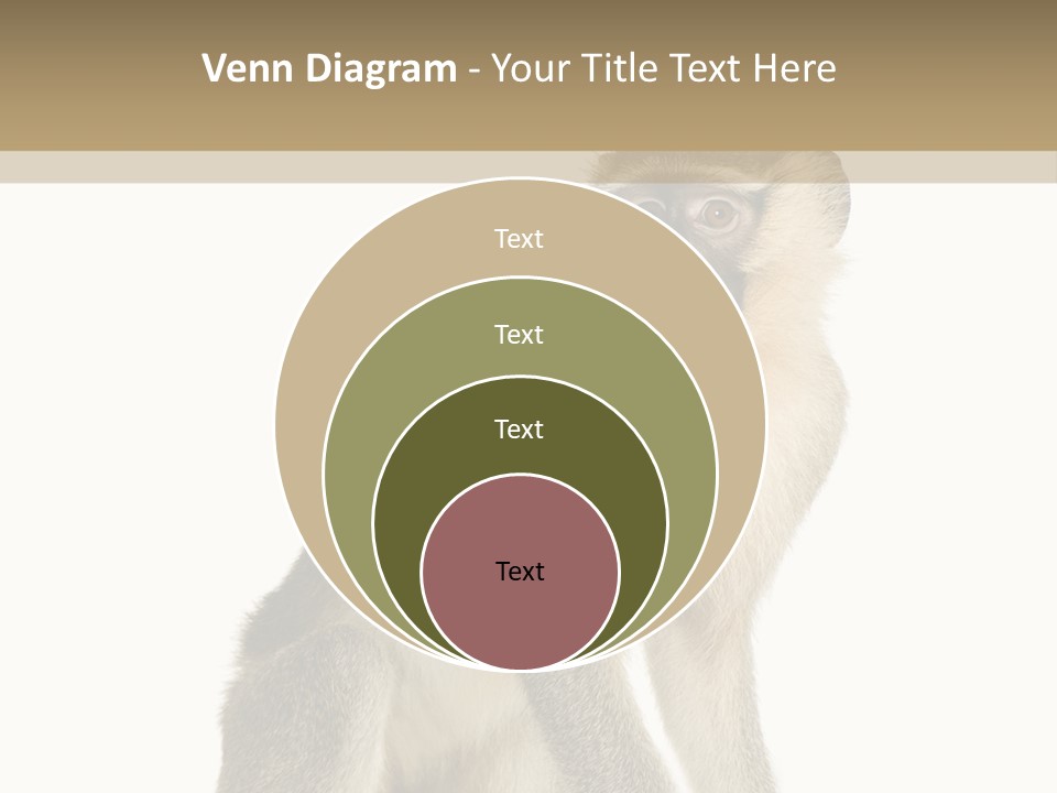 A Monkey Sitting On Top Of A White Surface PowerPoint Template