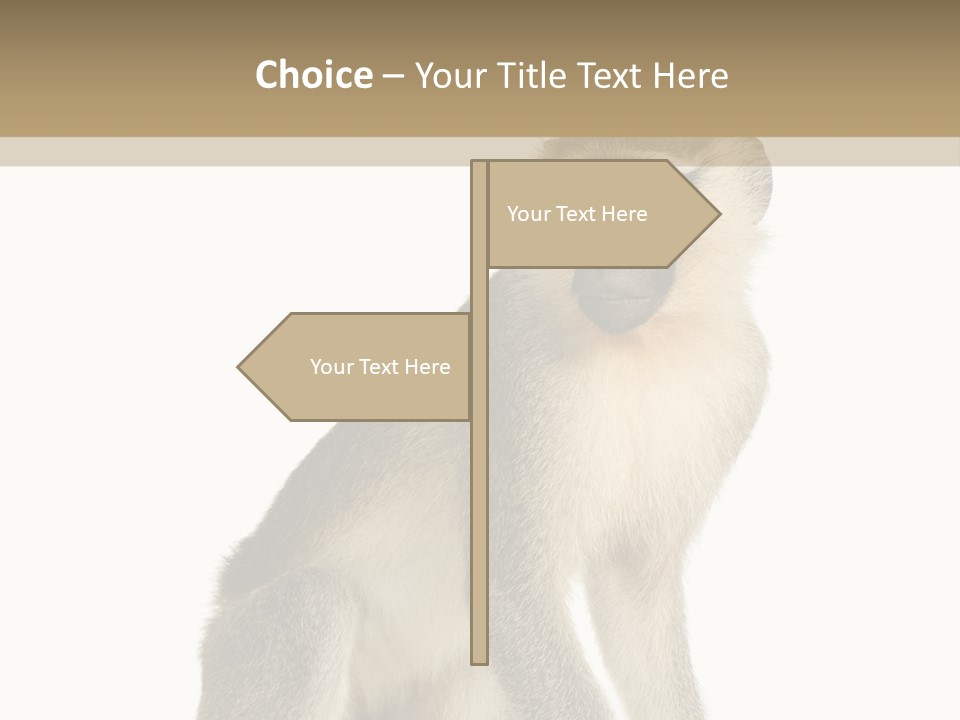 A Monkey Sitting On Top Of A White Surface PowerPoint Template