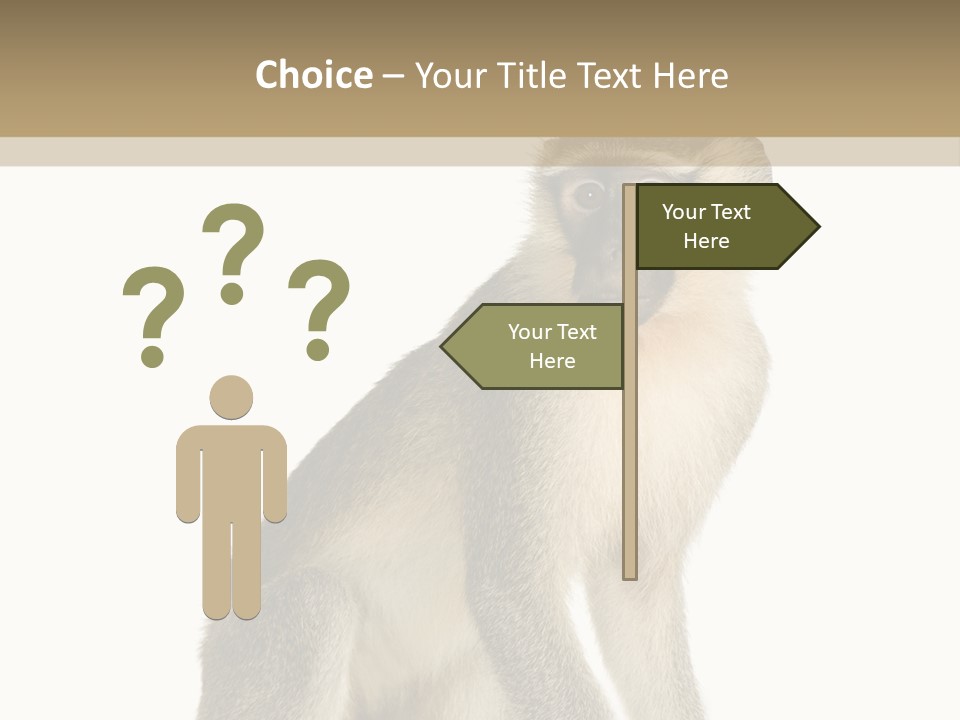 A Monkey Sitting On Top Of A White Surface PowerPoint Template