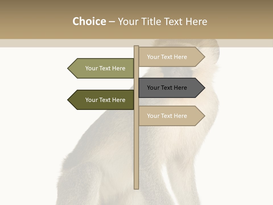 A Monkey Sitting On Top Of A White Surface PowerPoint Template