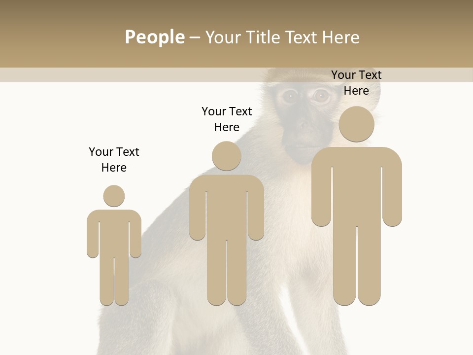 A Monkey Sitting On Top Of A White Surface PowerPoint Template