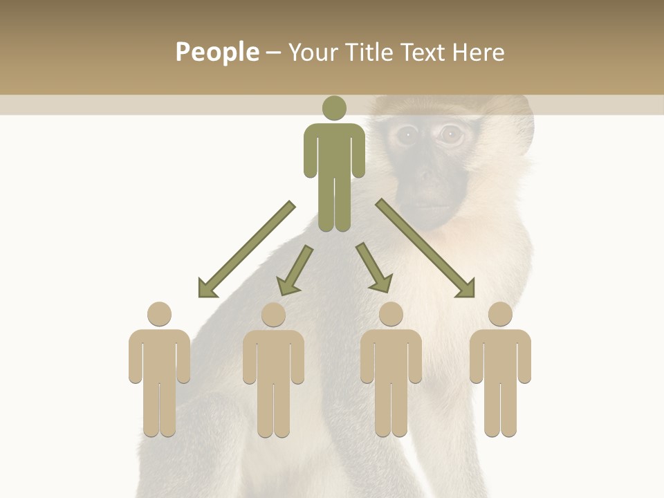 A Monkey Sitting On Top Of A White Surface PowerPoint Template