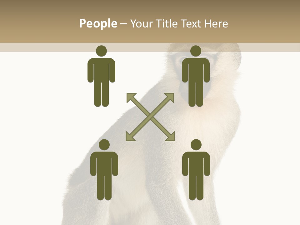 A Monkey Sitting On Top Of A White Surface PowerPoint Template