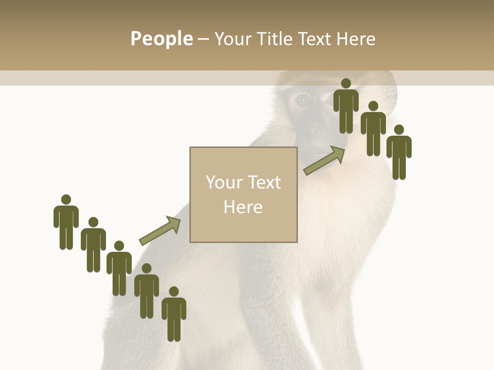 A Monkey Sitting On Top Of A White Surface PowerPoint Template
