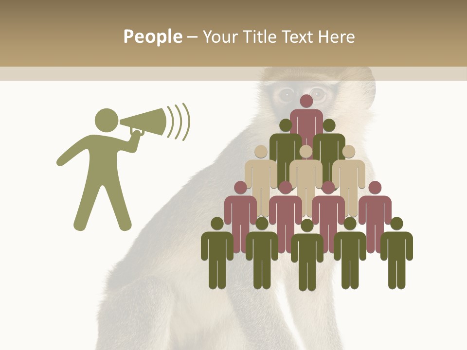 A Monkey Sitting On Top Of A White Surface PowerPoint Template