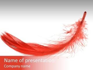 Red Feather Flying Object PowerPoint Template