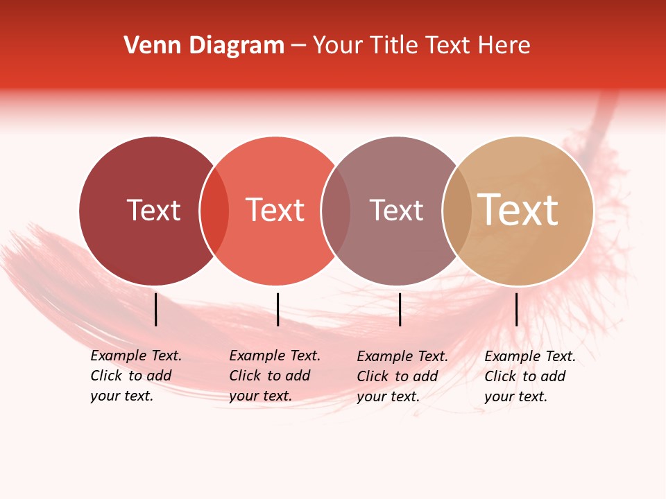 Red Feather Flying Object PowerPoint Template