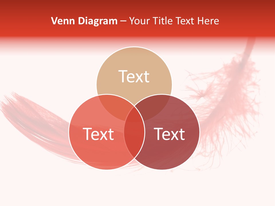 Red Feather Flying Object PowerPoint Template