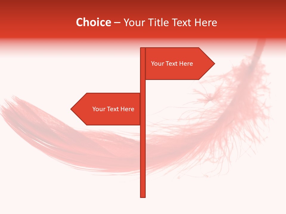Red Feather Flying Object PowerPoint Template