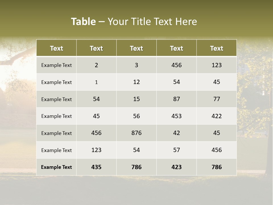 Piedmont Park In Atlanta, Georgia PowerPoint Template