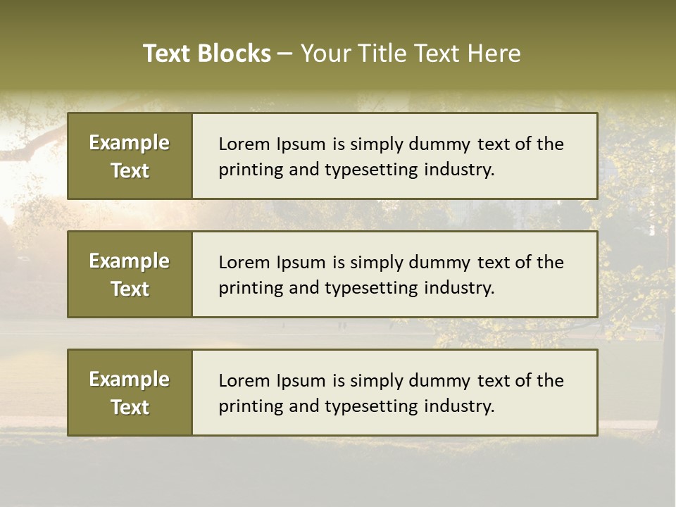 Piedmont Park In Atlanta, Georgia PowerPoint Template