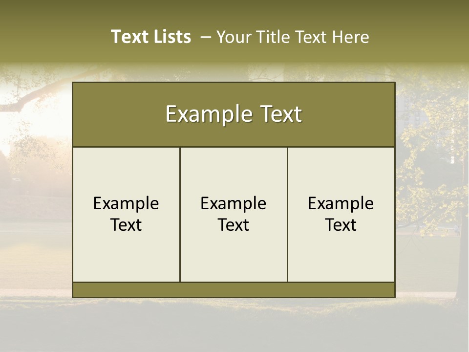 Piedmont Park In Atlanta, Georgia PowerPoint Template