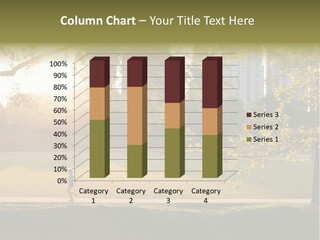 Piedmont Park In Atlanta, Georgia PowerPoint Template