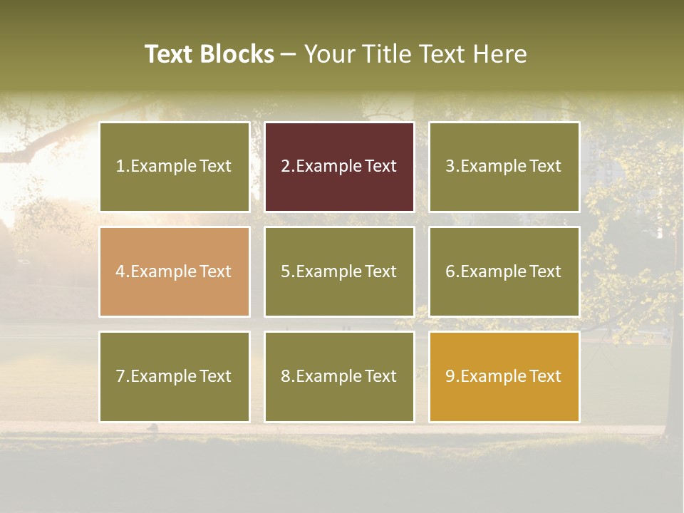 Piedmont Park In Atlanta, Georgia PowerPoint Template