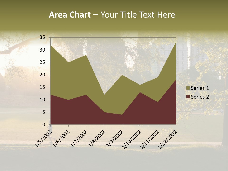 Piedmont Park In Atlanta, Georgia PowerPoint Template