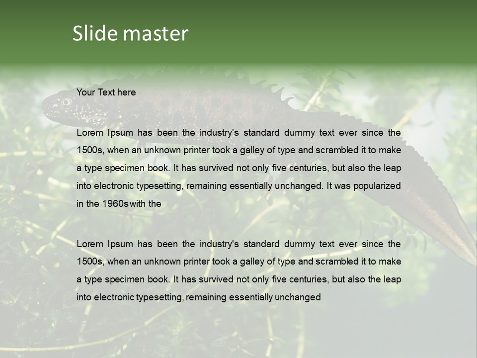 Male Of Great Crested Newt (Triturus Cristatus). His Skin's Color And Crest Is Typical For Breeding Time. PowerPoint Template