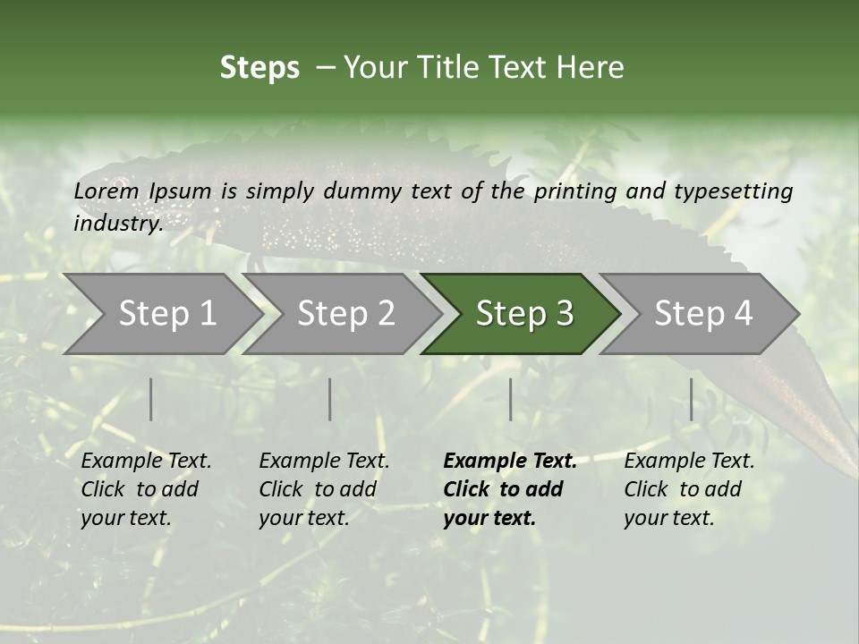 Male Of Great Crested Newt (Triturus Cristatus). His Skin's Color And Crest Is Typical For Breeding Time. PowerPoint Template
