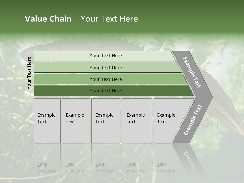 Male Of Great Crested Newt (Triturus Cristatus). His Skin's Color And Crest Is Typical For Breeding Time. PowerPoint Template