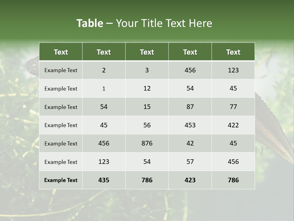 Male Of Great Crested Newt (Triturus Cristatus). His Skin's Color And Crest Is Typical For Breeding Time. PowerPoint Template