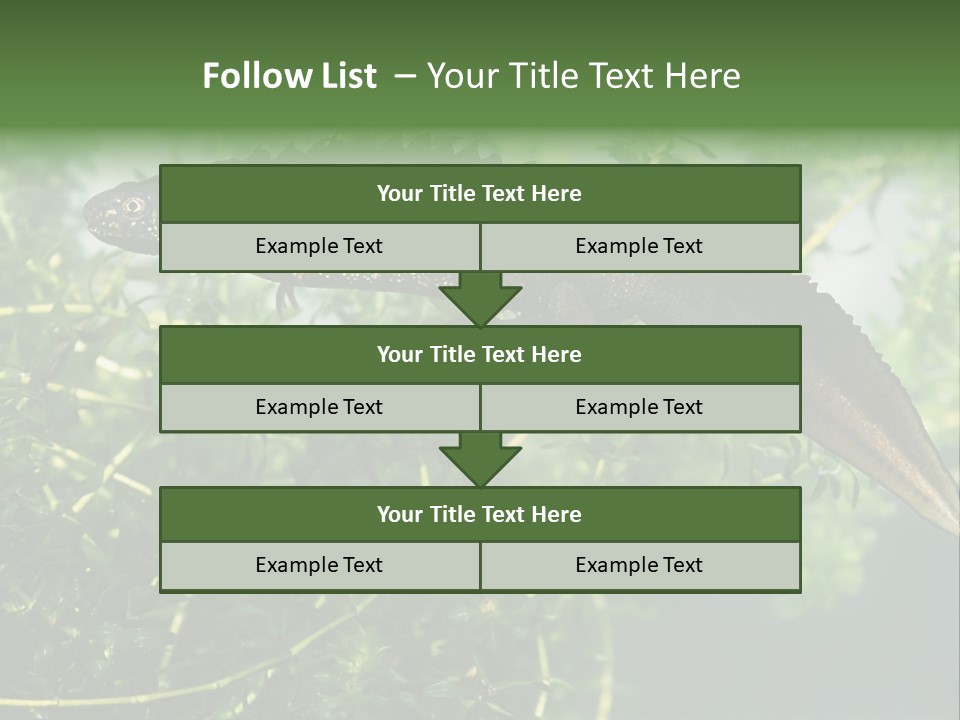 Male Of Great Crested Newt (Triturus Cristatus). His Skin's Color And Crest Is Typical For Breeding Time. PowerPoint Template