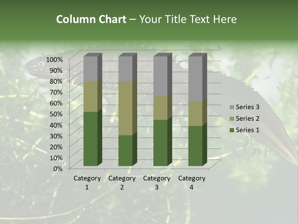 Male Of Great Crested Newt (Triturus Cristatus). His Skin's Color And Crest Is Typical For Breeding Time. PowerPoint Template