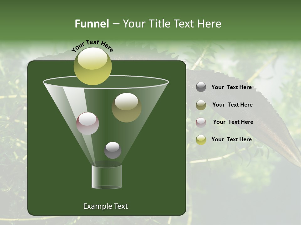 Male Of Great Crested Newt (Triturus Cristatus). His Skin's Color And Crest Is Typical For Breeding Time. PowerPoint Template