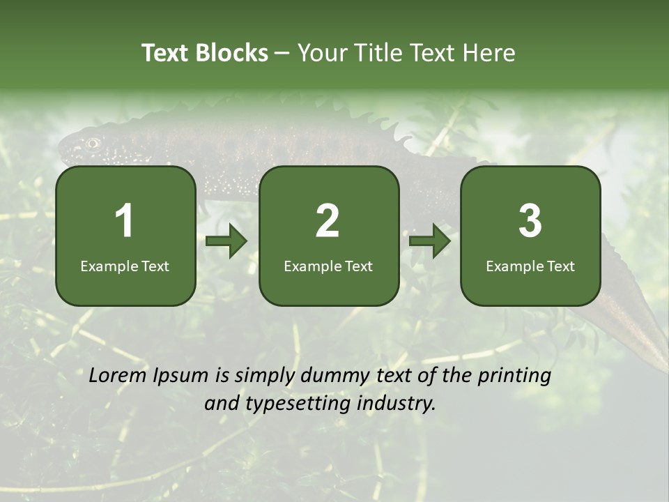 Male Of Great Crested Newt (Triturus Cristatus). His Skin's Color And Crest Is Typical For Breeding Time. PowerPoint Template
