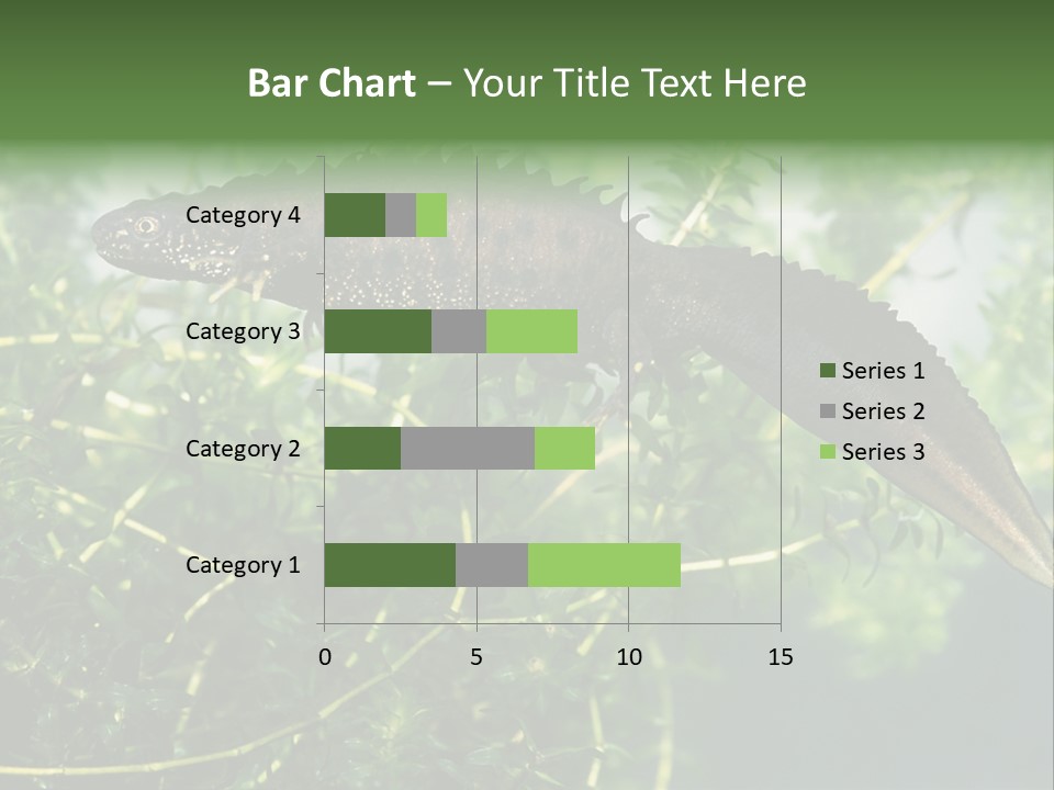 Male Of Great Crested Newt (Triturus Cristatus). His Skin's Color And Crest Is Typical For Breeding Time. PowerPoint Template