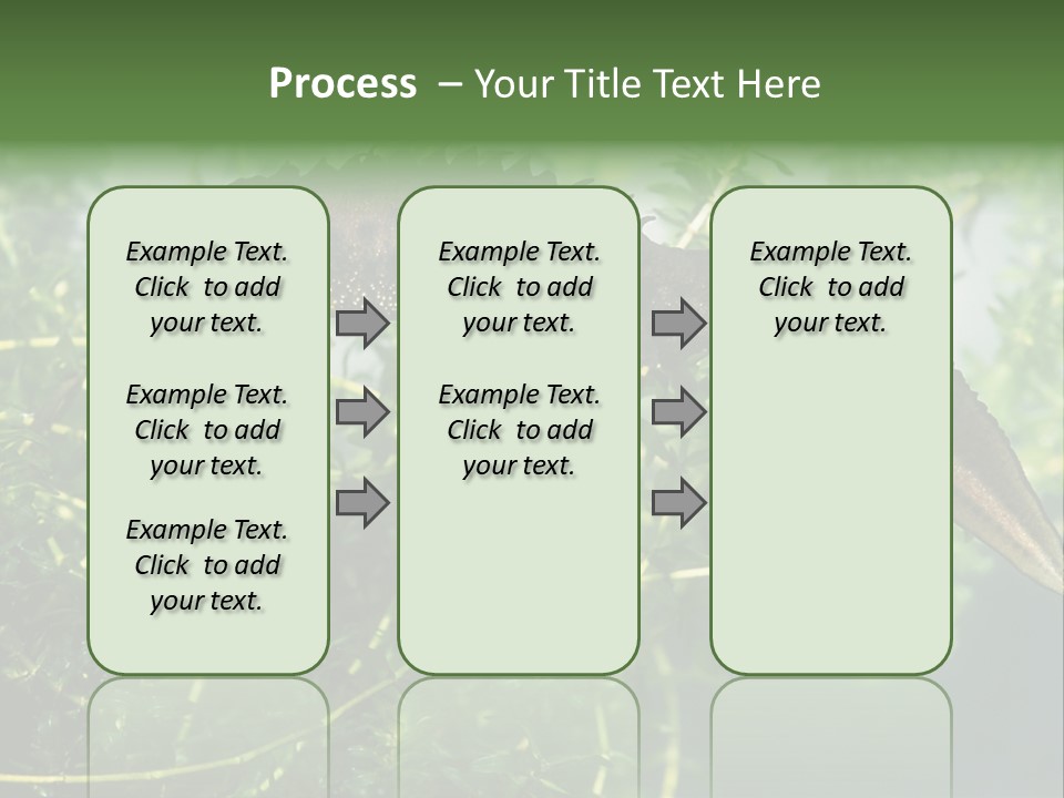 Male Of Great Crested Newt (Triturus Cristatus). His Skin's Color And Crest Is Typical For Breeding Time. PowerPoint Template